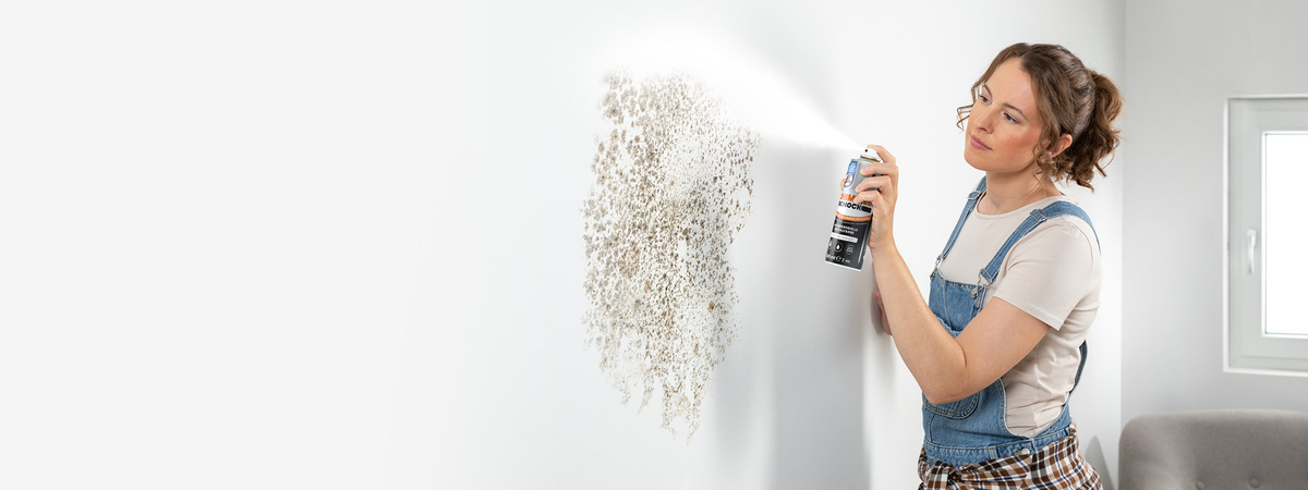 Schimmelschock-Spray beim Farbauftrag an einer Wand