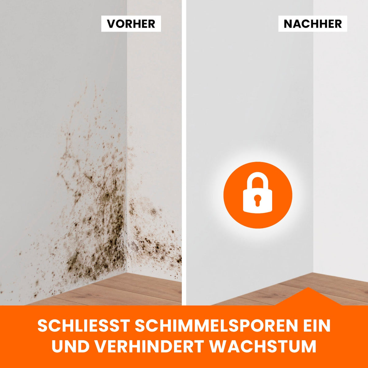 Tonis Schimmelschock – Vorher-Nachher-Darstellung einer Wandfläche