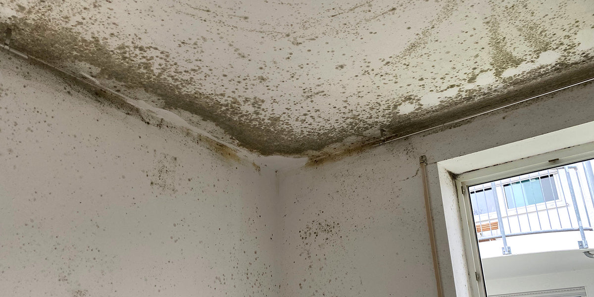 Wohnzimmer vor dem Anstrich: dunkle Flecken an Wand und Decke neben dem Fenster.